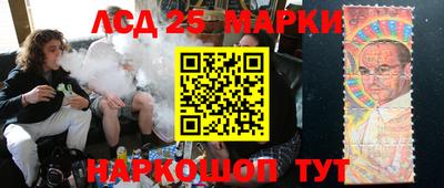 амф Кандалакша
