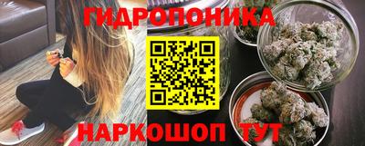 амф Кандалакша