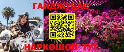 амф Кандалакша