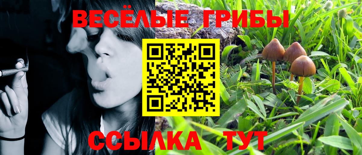 Псилоцибиновые грибы Psilocybe Красный Сулин